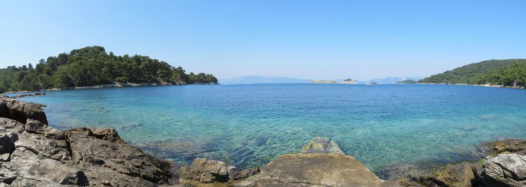 Cliquez pour agrandir l'image