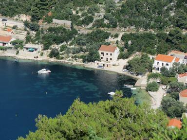 Cliquez pour agrandir l'image