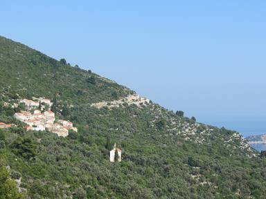 Cliquez pour agrandir l'image