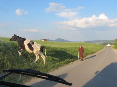 Cliquez pour agrandir l'image