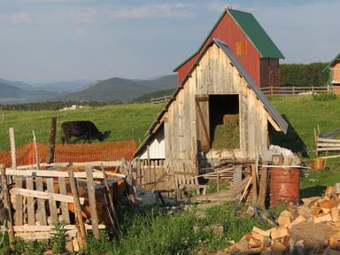 Cliquez pour agrandir l'image