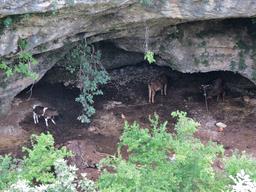 Cliquez pour agrandir l'image