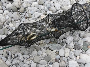 Cliquez pour agrandir l'image