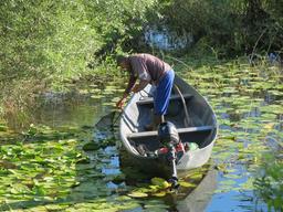 Cliquez pour agrandir l'image