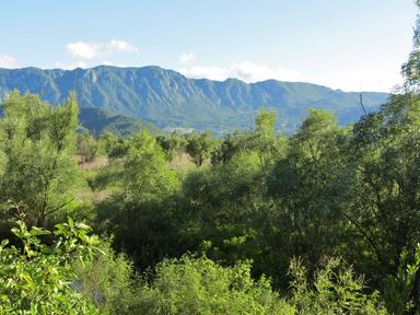 Cliquez pour agrandir l'image