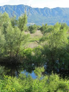 Cliquez pour agrandir l'image