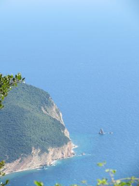 Cliquez pour agrandir l'image