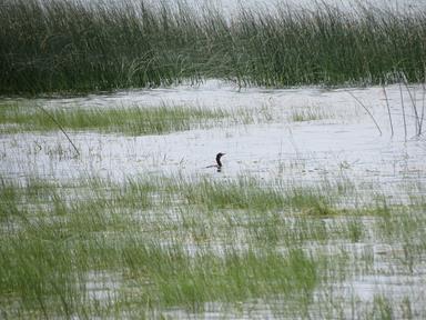 Cliquez pour agrandir l'image