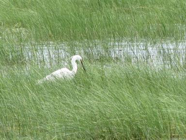 Cliquez pour agrandir l'image
