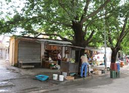 Cliquez pour agrandir l'image