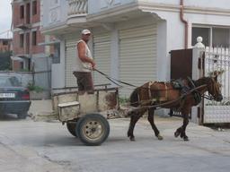 Cliquez pour agrandir l'image