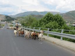 Cliquez pour agrandir l'image