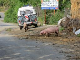 Cliquez pour agrandir l'image