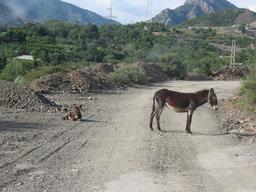 Cliquez pour agrandir l'image