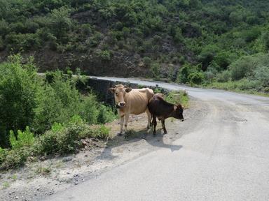 Cliquez pour agrandir l'image