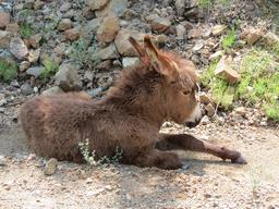 Cliquez pour agrandir l'image