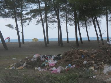 Cliquez pour agrandir l'image