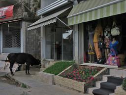 Cliquez pour agrandir l'image