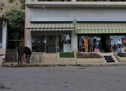 Cliquez pour agrandir l'image