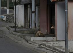 Cliquez pour agrandir l'image