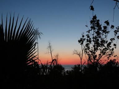 Cliquez pour agrandir l'image