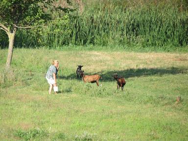 Cliquez pour agrandir l'image