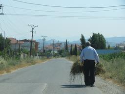 Cliquez pour agrandir l'image