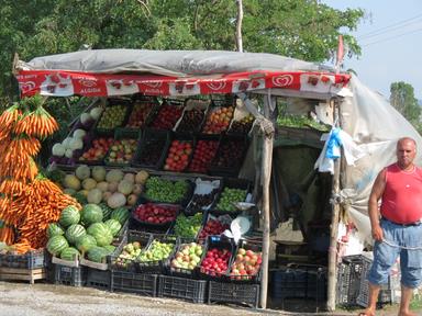 Cliquez pour agrandir l'image