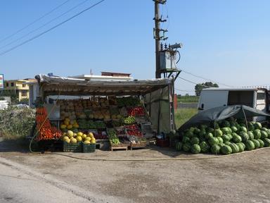 Cliquez pour agrandir l'image