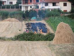 Cliquez pour agrandir l'image