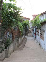 Cliquez pour agrandir l'image