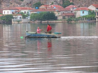 Cliquez pour agrandir l'image