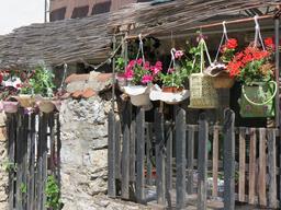 Cliquez pour agrandir l'image