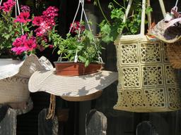 Cliquez pour agrandir l'image