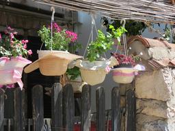 Cliquez pour agrandir l'image