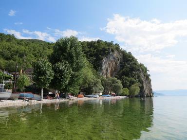 Cliquez pour agrandir l'image