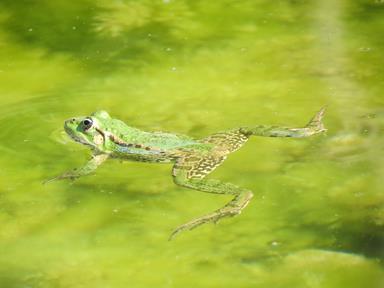 Cliquez pour agrandir l'image