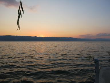 Cliquez pour agrandir l'image