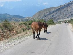 Cliquez pour agrandir l'image