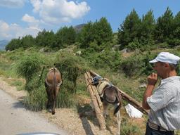 Cliquez pour agrandir l'image