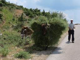 Cliquez pour agrandir l'image