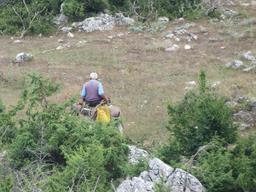 Cliquez pour agrandir l'image