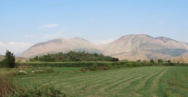 Cliquez pour agrandir l'image