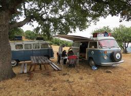 Cliquez pour agrandir l'image