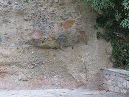 Cliquez pour agrandir l'image