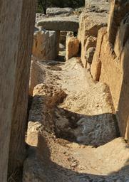 Cliquez pour agrandir l'image