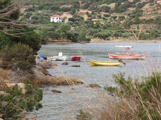 Cliquez pour agrandir l'image