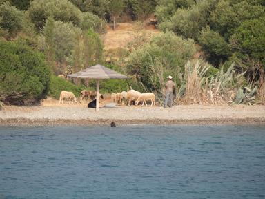 Cliquez pour agrandir l'image