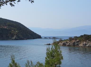 Cliquez pour agrandir l'image