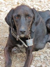 Cliquez pour agrandir l'image